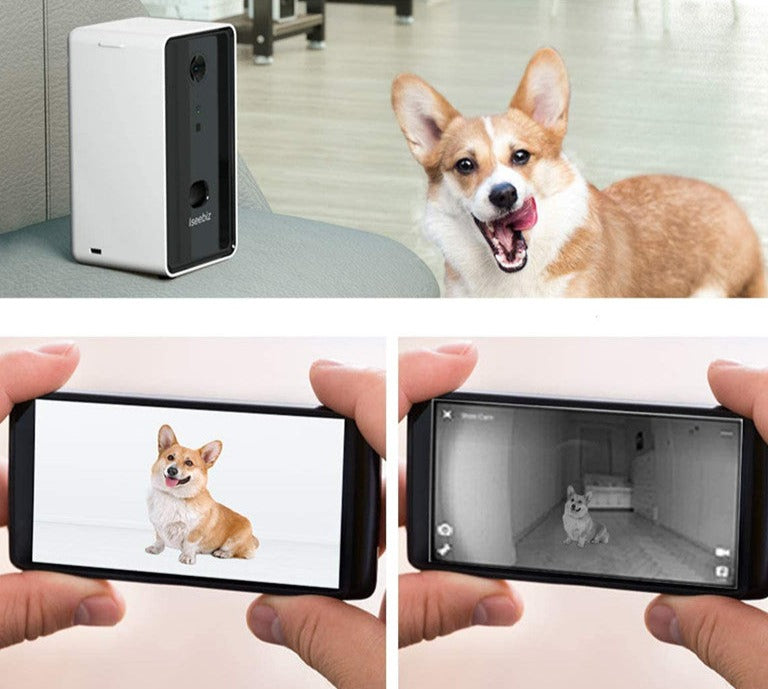 2-in-1 True View Pet Camera